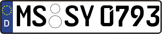 MS-SY0793