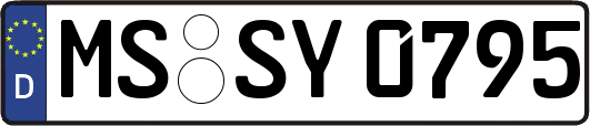 MS-SY0795