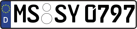 MS-SY0797