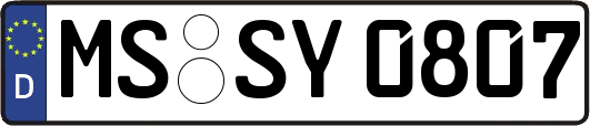 MS-SY0807