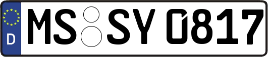 MS-SY0817