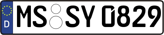 MS-SY0829