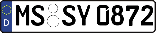 MS-SY0872