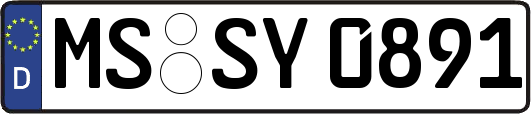 MS-SY0891