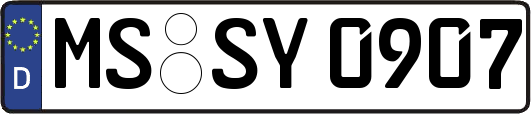 MS-SY0907