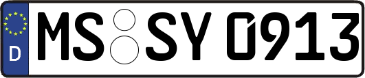 MS-SY0913