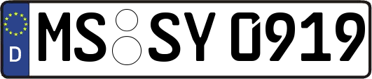 MS-SY0919