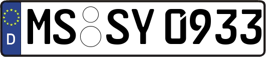 MS-SY0933