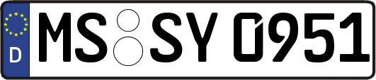 MS-SY0951