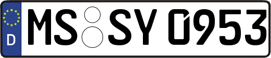 MS-SY0953