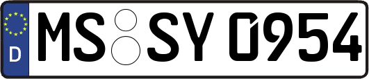 MS-SY0954