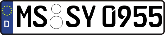 MS-SY0955