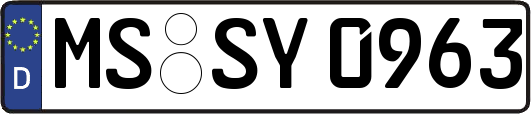 MS-SY0963