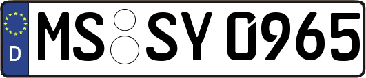 MS-SY0965