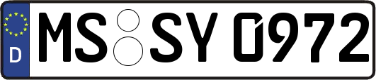 MS-SY0972