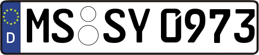 MS-SY0973