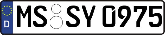MS-SY0975