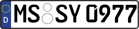 MS-SY0977