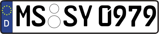 MS-SY0979