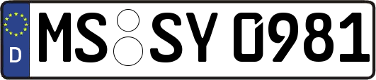 MS-SY0981