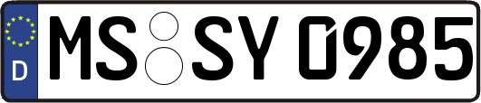 MS-SY0985
