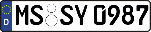 MS-SY0987