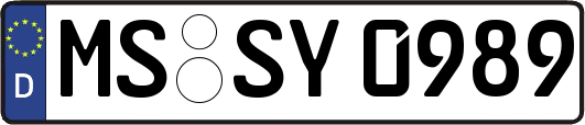 MS-SY0989