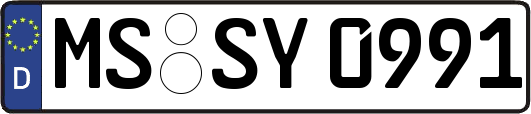 MS-SY0991
