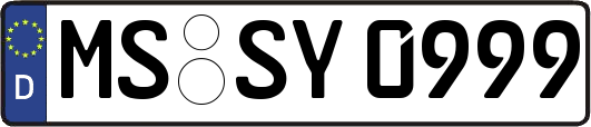 MS-SY0999