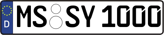 MS-SY1000