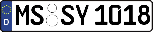 MS-SY1018