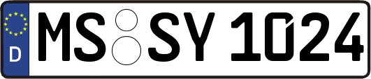 MS-SY1024