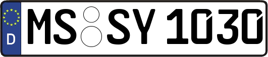 MS-SY1030
