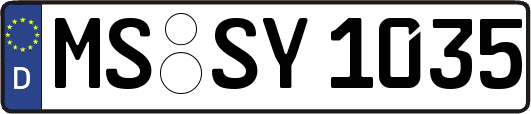 MS-SY1035