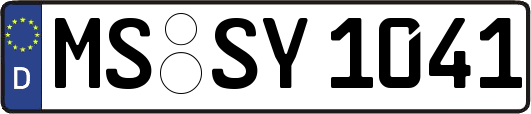 MS-SY1041