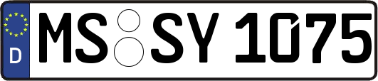 MS-SY1075