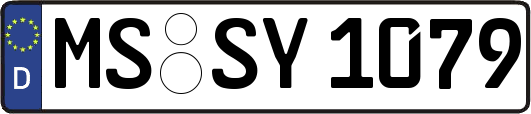 MS-SY1079