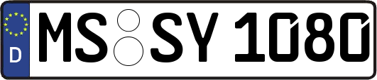 MS-SY1080