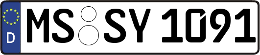 MS-SY1091