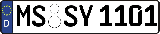 MS-SY1101
