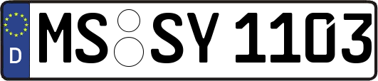 MS-SY1103
