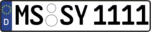 MS-SY1111