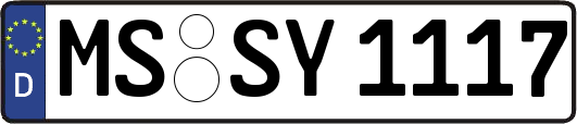 MS-SY1117