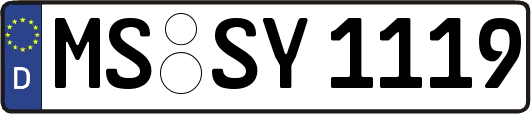 MS-SY1119