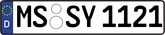 MS-SY1121