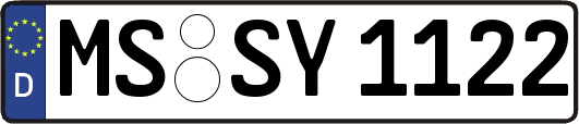 MS-SY1122