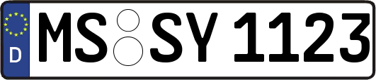 MS-SY1123