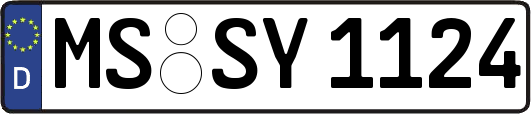 MS-SY1124