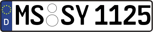 MS-SY1125