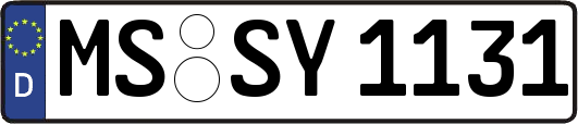 MS-SY1131
